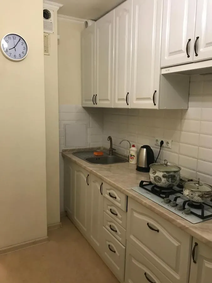 Sunny Apartment Overlooking The Royal Village Kiev